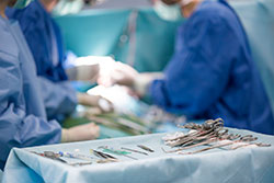 Pine Plains Veterinary Hospital - Pet Surgery