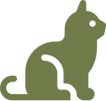 Cat Vector